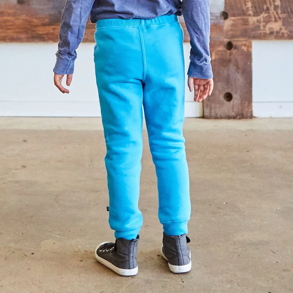 Flamingos Fuzzy Fleece Jogger Pants